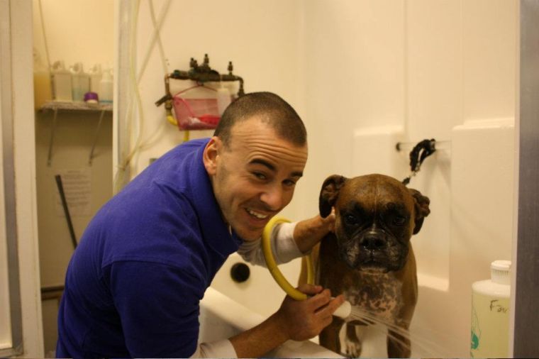 Annual Boxer Luv Rescue dog wash